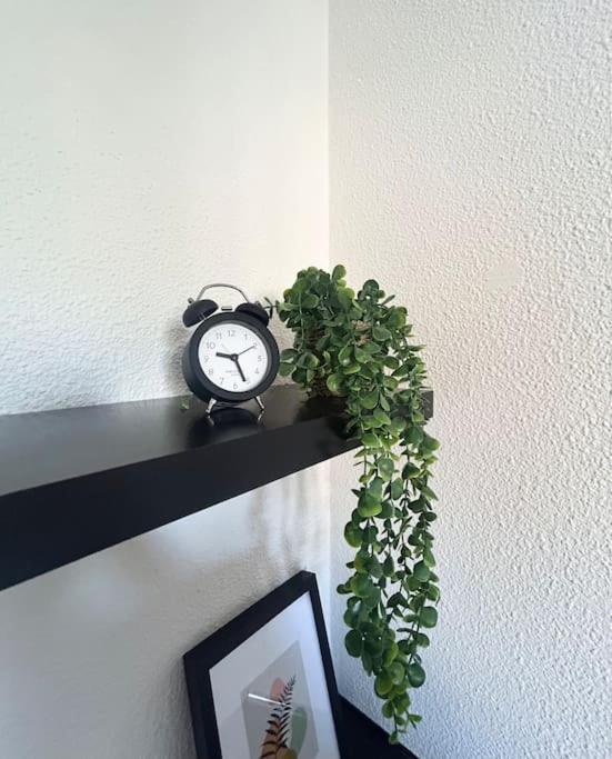 Nid Douillet Apartment Lille
