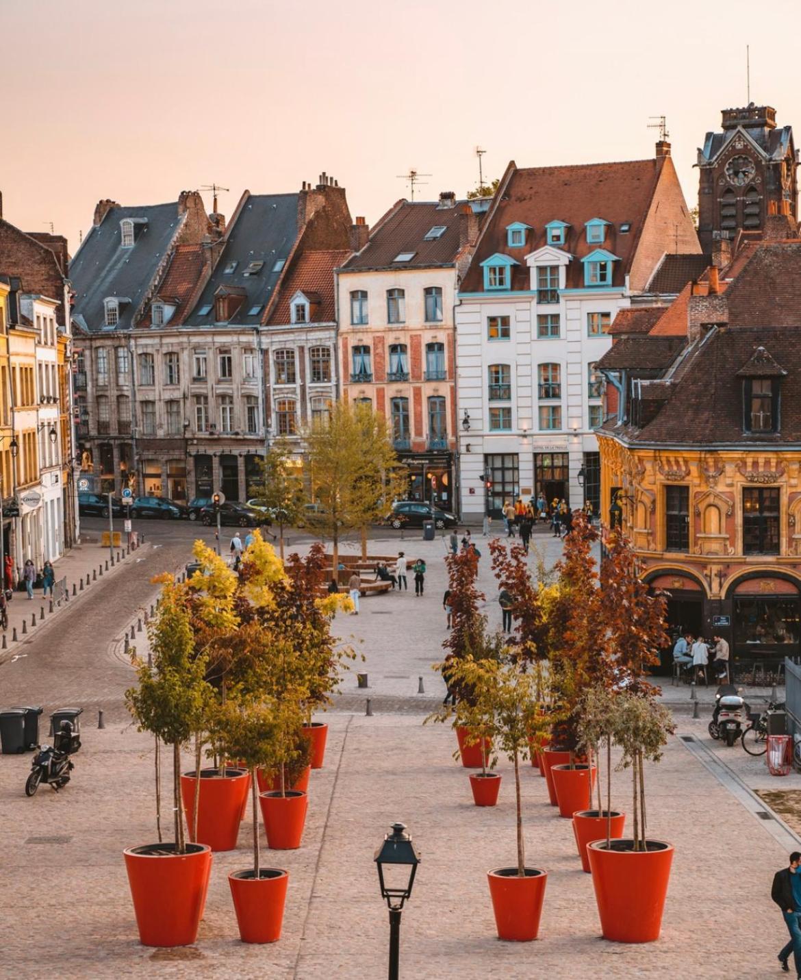Nid Douillet Lille